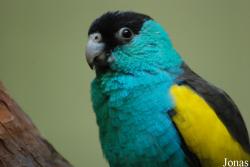 Burgers' Zoo