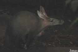 Burgers' Zoo