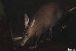 Burgers' Zoo