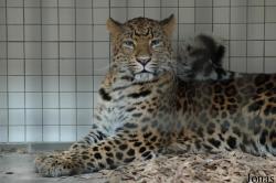 Zoologischer Garten Karlsruhe