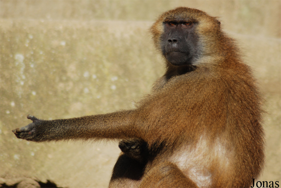 Parc Zoologique de Paris