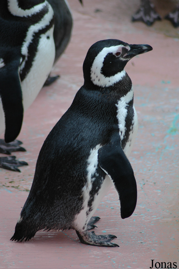 Zoologischer Garten Karlsruhe