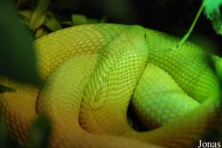 TerraZoo Rheinberg