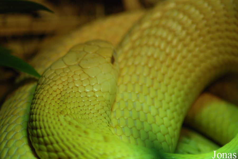 TerraZoo Rheinberg