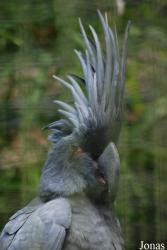 ZooParc de Beauval