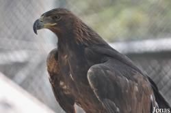 Dubai Zoo