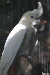 ZooParc de Beauval