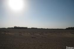 Sharjah Desert Park