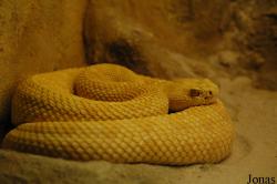 Vigo Zoo