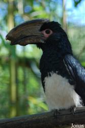 Zoo de la Palmyre