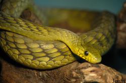 Vigo Zoo