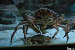 Musée Aquarium d'Arcachon