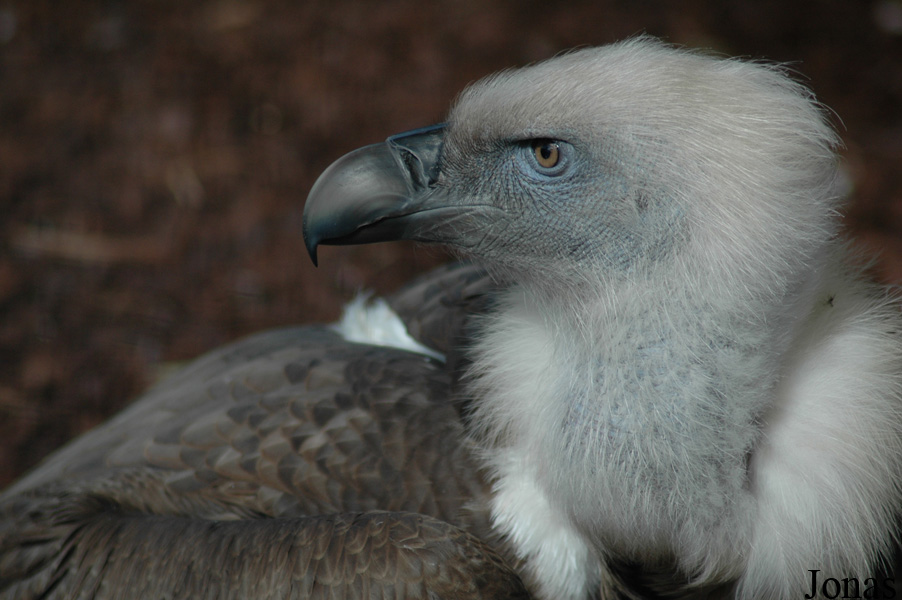 Vigo Zoo