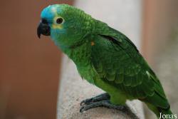 Parc Animalier de Labenne