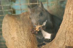 Parc Animalier de Gramat