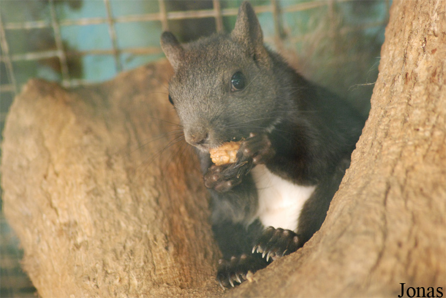 Parc Animalier de Gramat