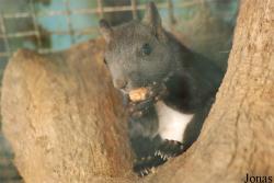 Parc Animalier de Gramat