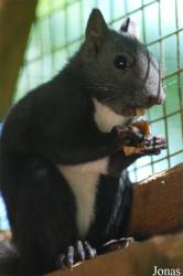 Parc Animalier de Gramat