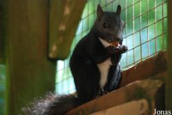 Parc Animalier de Gramat