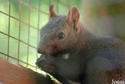 Parc Animalier de Gramat