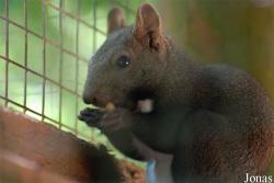 Parc Animalier de Gramat