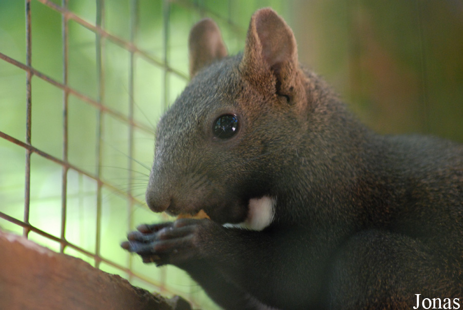 Parc Animalier de Gramat