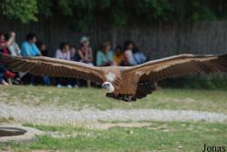 Rocher des Aigles