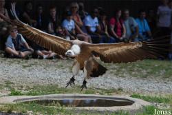 Rocher des Aigles
