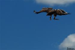 Rocher des Aigles
