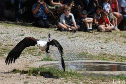 Rocher des Aigles