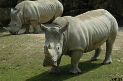 Zoo d'Amnéville