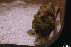 Aquarium du Limousin