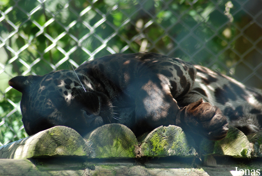 Zoo du Bouy