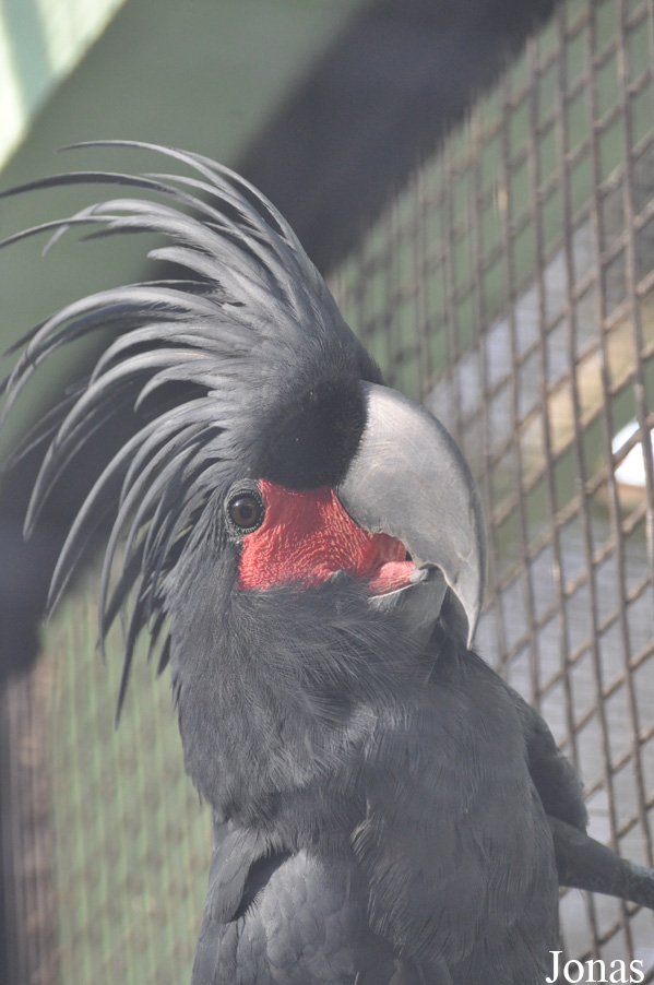 Zoo Garden