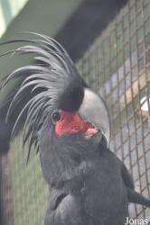 Zoo Garden