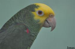 Zoo Garden