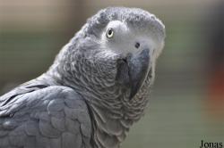 Doha Zoo