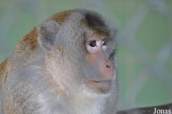 Kuwait Zoo