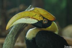 Beijing Zoological Gardens