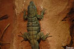 Zoologischer Garten Karlsruhe