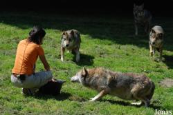 Parc de Courzieu