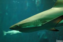 Aquarium du Grand Lyon