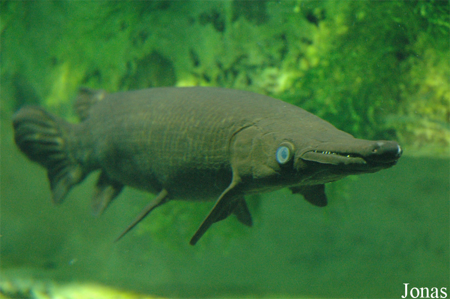 Aquarium du Grand Lyon
