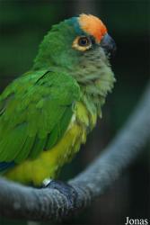 Parc des Oiseaux