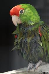 Eureka