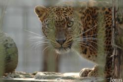 Best Zoo
