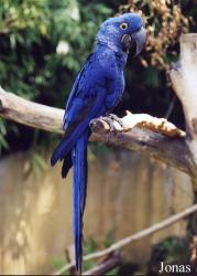 Zoo d'Amnéville