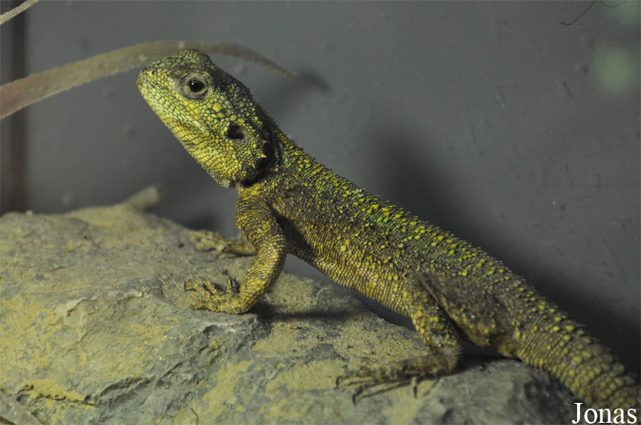 Zoo Zajac