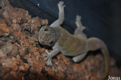 NatuurDoeZoo Insektenwereld
