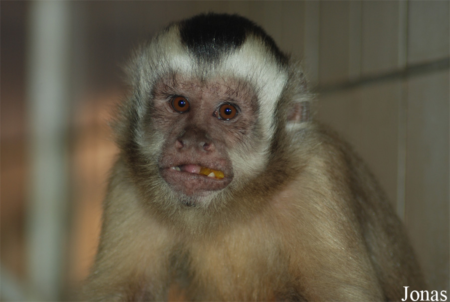 Tierpark Gronau